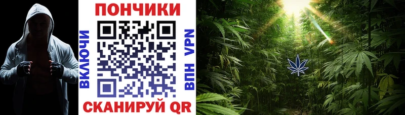 Канабис гибрид  Юрюзань 
